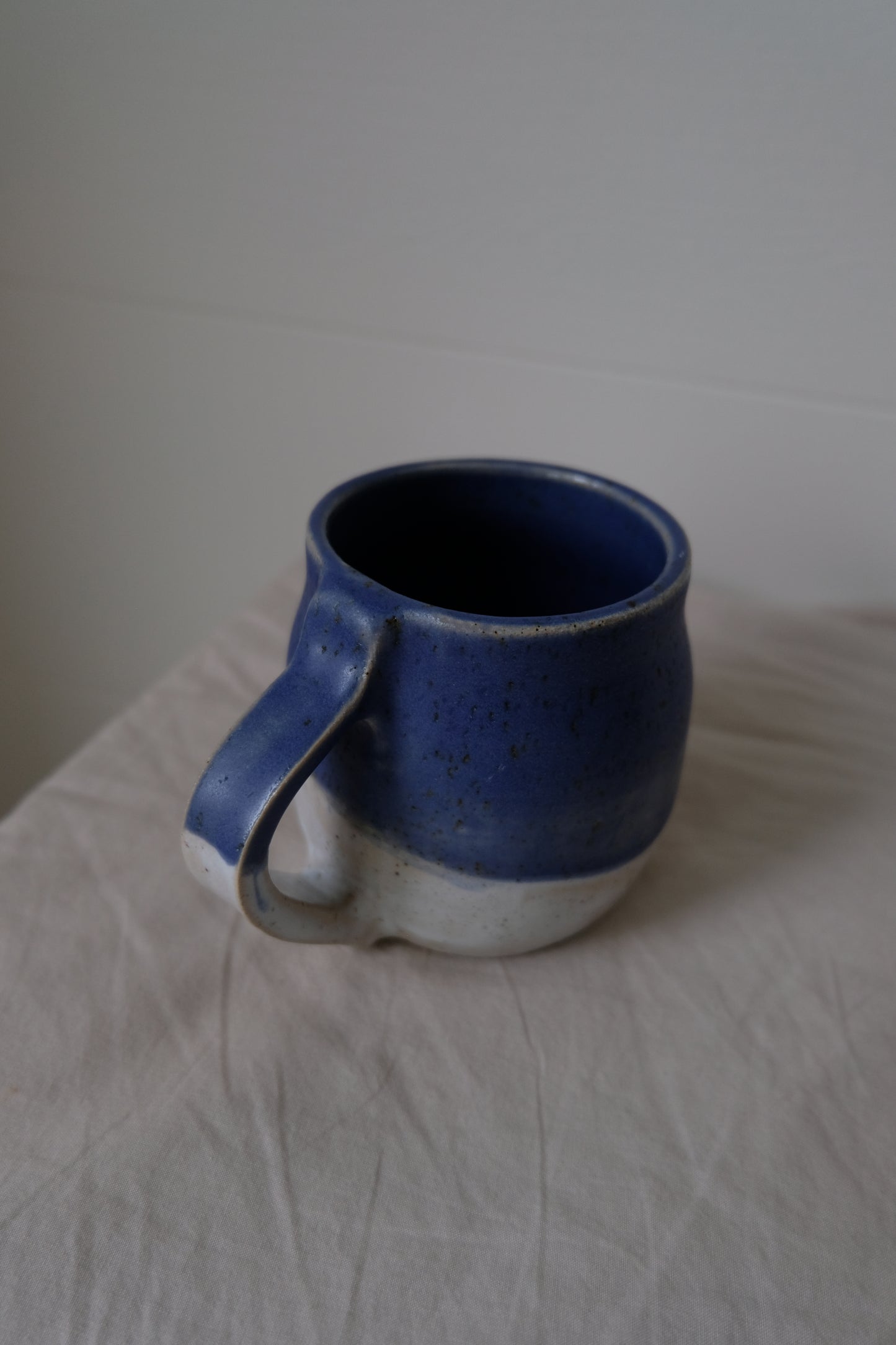 Blue/White Mug