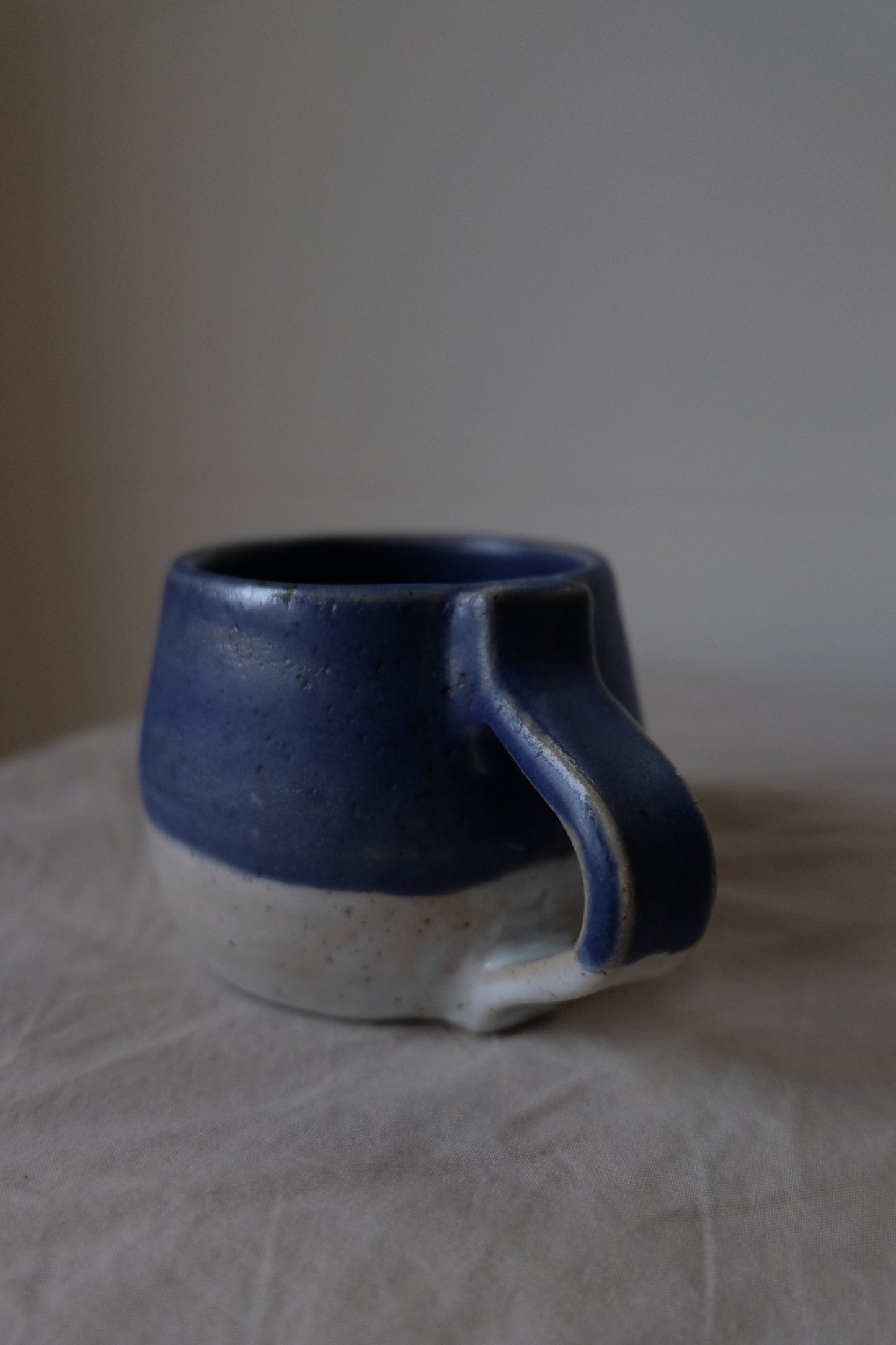 Blue/White Mug