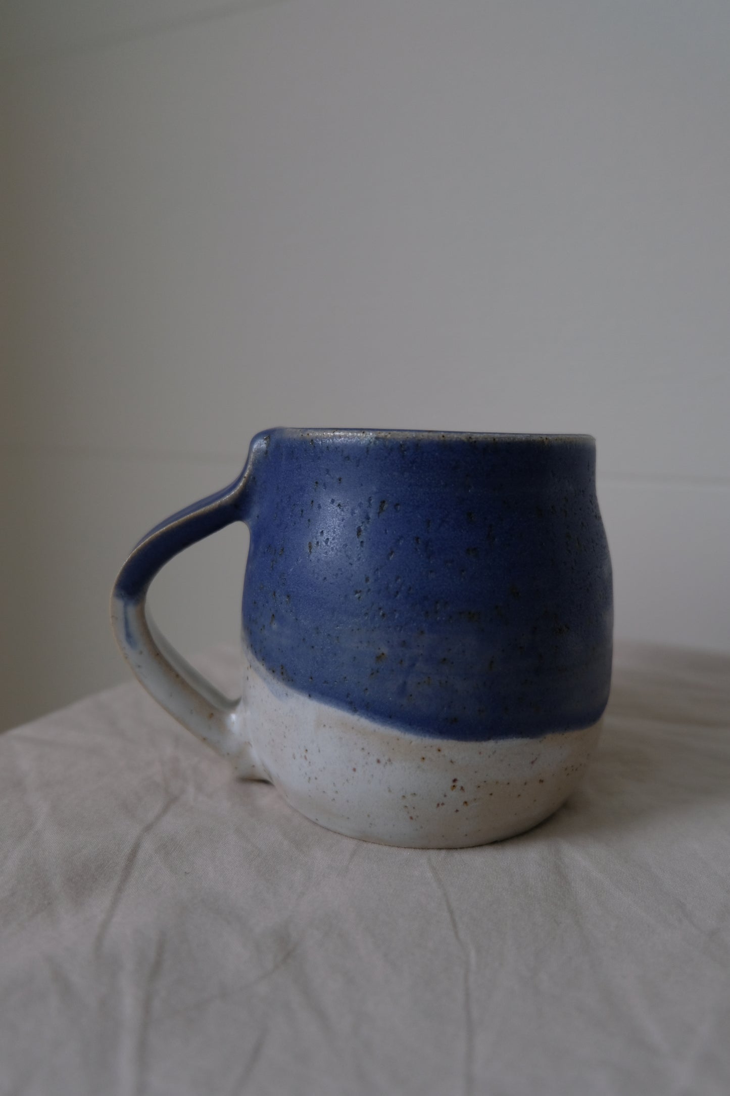 Blue/White Mug