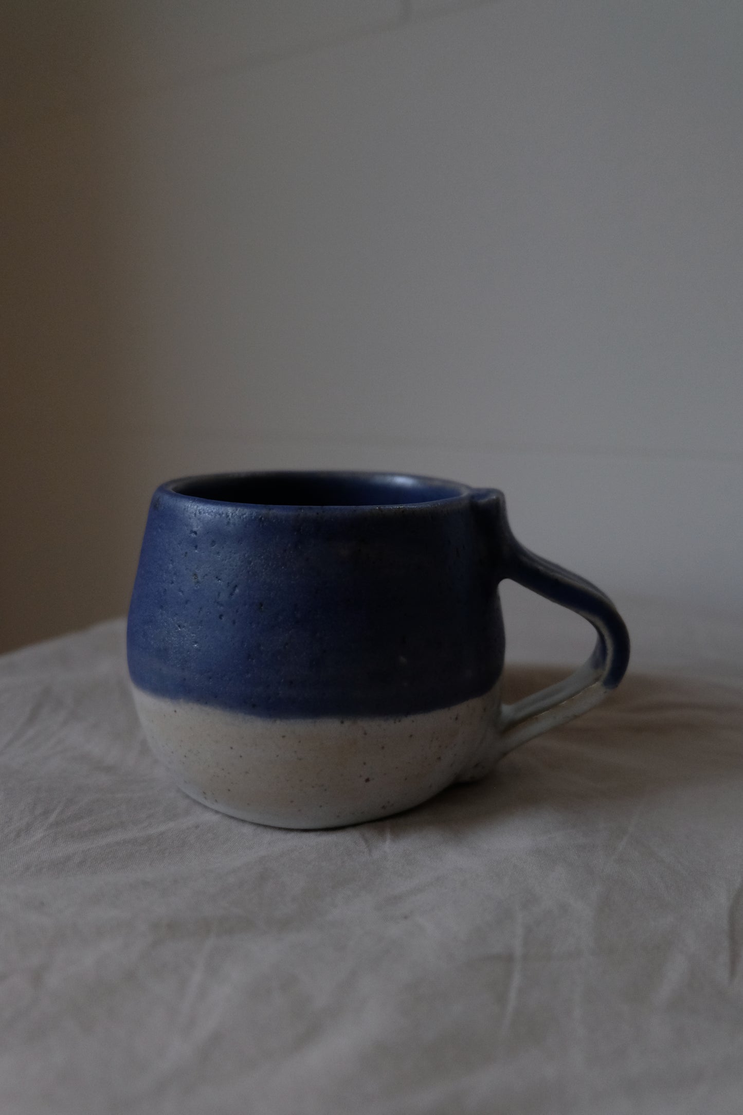 Blue/White Mug