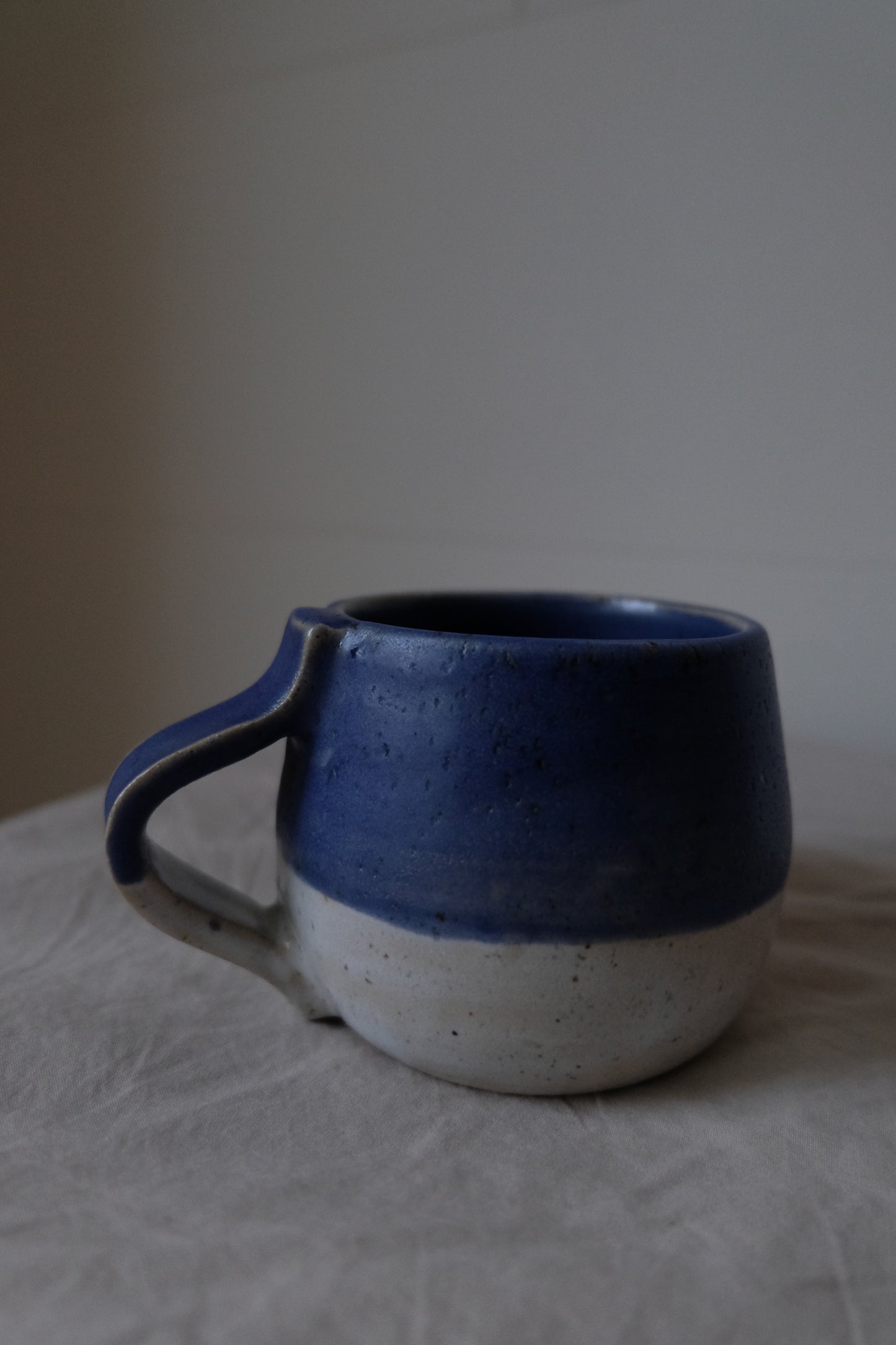 Blue/White Mug